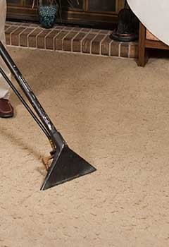 Fast Carpet Stain Removal Madison Heights