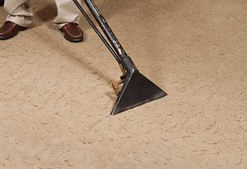 How To Remove Stains From Carpet - Madison Heights
