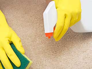 How to Create Eco-Friendly Products | San Marino Carpet Cleaning