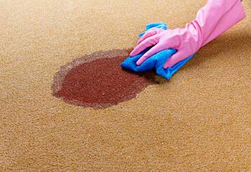 Low Cost Stain Removal | Carpet Cleaning San Marino CA